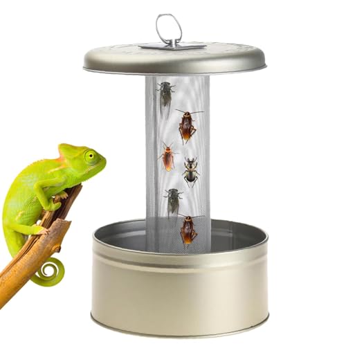 Crawling Pet Feeder Reptilien Futternapf Ausbruchsicher Wassernapf Becken Chamäleon Schüssel Futternäpfe für, Leopard Gecko, Bartagame, Spinne, Skorpion, Chamäleon Crawling Pet Feeder Reptilien Futternapf Ausbruchsicher Wassernapf Becken Chamäleon Schüssel Futternäpfe für, Leopard Gecko, Bartagame, Spinne, Skorpion, Chamäleon von zwxqe