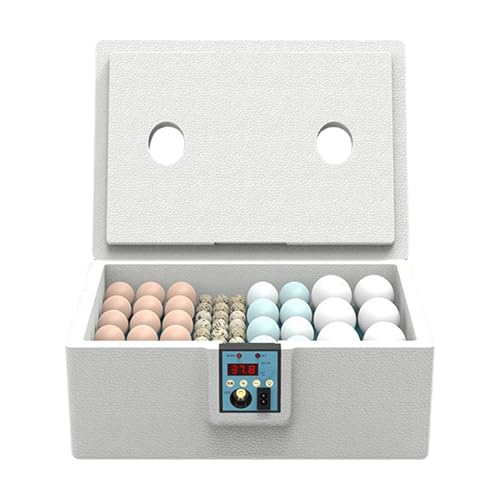 Eierbrüter, Smart Wachtelbrutschränke 32 Eier, Wasserbett-Heizmaschine mit präziser Temperaturregelung, effizientes zuverlässiges Gerät, ideal für Hinterhof, Bruterei, Labor, Bauernhof Eierbrüter, Smart Wachtelbrutschränke 32 Eier, Wasserbett-Heizmaschine mit präziser Temperaturregelung, effizientes zuverlässiges Gerät, ideal für Hinterhof, Bruterei, Labor, Bauernhof von zwxqe