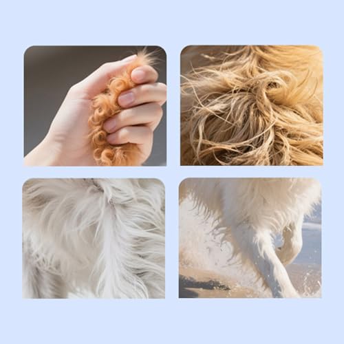 Fish Oil, 3 Supplement Pets, Natural Dog Skin and Coat Support, Portable Joint Health Booster Cats, Sturdy Dry Itchy Skin Formula for Hair Loss Prevention von zwxqe