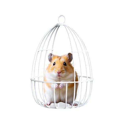Hamster Hammock, Iron Wire Mesh Hamster Toys, Nest House Cage, Small Animal Hanging Bed, Cozy Pet Accessory for Sleeping Swing Hiding Guinea Dwarf Rabbits Sugar Glider Squirrel Training Small Pets von zwxqe