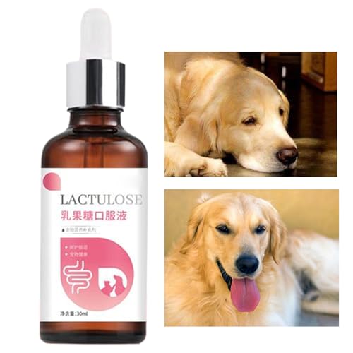 Hundegesundheitsbedarf | Nahrungsergänzung Für Katze 30ml,Sanfte Öltropfen Zur Unterstützung Von Verdauung Wohlbefinden Gesundheit Tägliche Pflege Für Zuhause Unterwegs Hundegesundheitsbedarf | Nahrungsergänzung Für Katze 30ml,Sanfte Öltropfen Zur Unterstützung Von Verdauung Wohlbefinden Gesundheit Tägliche Pflege Für Zuhause Unterwegs von zwxqe