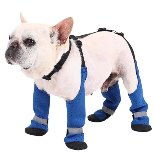 Hundepfoten-Leggings, Stiefeletten für kaltes Wetter, langlebige Hundeschuhe, Hundeschutz für den Winter, Schnee-Leggings für Haustiere, regenfeste Hundestiefel, Outdoor-Ausrüstung für Hunde, Trail-Hu Hundepfoten-Leggings, Stiefeletten für kaltes Wetter, langlebige Hundeschuhe, Hundeschutz für den Winter, Schnee-Leggings für Haustiere, regenfeste Hundestiefel, Outdoor-Ausrüstung für Hunde, Trail-Hu von zwxqe