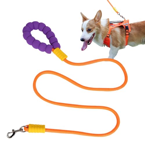 Hundeseil, Welpen-Spaziergangsleine für mittelgroße und große Hunde, Haustier-Training, Polyester-gewebtes Nylon, strapazierfähig, Traktion, Spaziergänge für drinnen und draußen Hundeseil, Welpen-Spaziergangsleine für mittelgroße und große Hunde, Haustier-Training, Polyester-gewebtes Nylon, strapazierfähig, Traktion, Spaziergänge für drinnen und draußen von zwxqe
