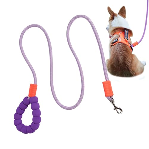 Hundeseil, Welpen-Spaziergangsleine für mittelgroße und große Hunde, Haustier-Training, Polyester-gewebtes Nylon, strapazierfähig, Traktion, Spaziergänge für drinnen und draußen Hundeseil, Welpen-Spaziergangsleine für mittelgroße und große Hunde, Haustier-Training, Polyester-gewebtes Nylon, strapazierfähig, Traktion, Spaziergänge für drinnen und draußen von zwxqe