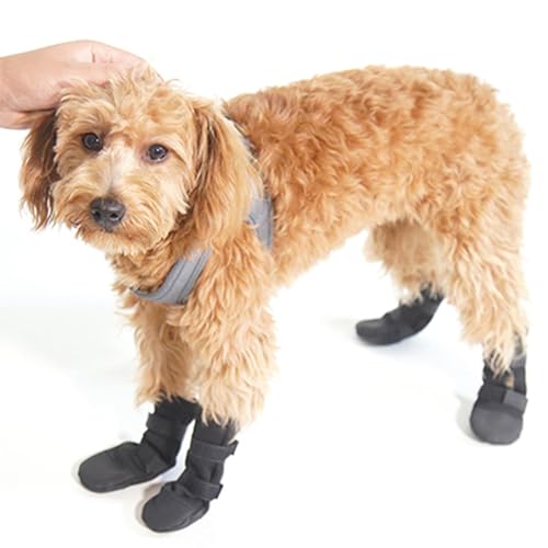 Hundesocken mit Greifern | Rutschfeste Hundesocken mit verstellbaren Riemen, Traktionskontrolle für drinnen auf Hartholzböden Hundesocken mit Greifern | Rutschfeste Hundesocken mit verstellbaren Riemen, Traktionskontrolle für drinnen auf Hartholzböden von zwxqe
