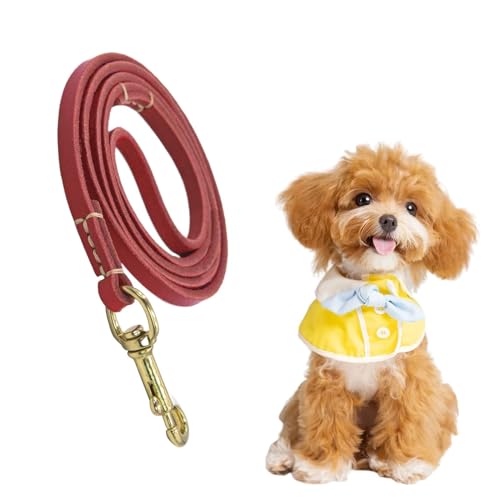 Hundetraktionsseil, Hundewanderseil - Seil für mittlere Hunde - Ergonomisches Hundeausbildungshilfen, leicht für mittel- bis großer Tier Hundetraktionsseil, Hundewanderseil - Seil für mittlere Hunde - Ergonomisches Hundeausbildungshilfen, leicht für mittel- bis großer Tier von zwxqe