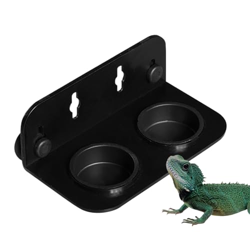 Reptile Food Feeder Bowl, Suction Cup Lizard Dish, 5.12x2.76x1.77 Inches Stable Compartment Accessory, Portable Feeding Tray, Practical Mealtime Solution for Bearded Habitat von zwxqe
