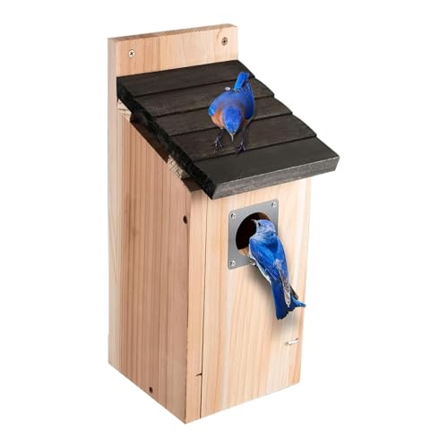 Vogelnest - Vogelhaus Für Draußen - Holz Vogelnest Wasserdicht Natürliche Dekoration Garten Baum Terrasse Vogelnest - Vogelhaus Für Draußen - Holz Vogelnest Wasserdicht Natürliche Dekoration Garten Baum Terrasse von zwxqe
