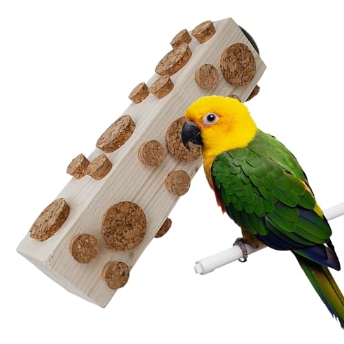 Vogelsitzstange aus Holz, Sitzstange für Papageien, Käfig-Anreicherungsspielzeug | Holz-Kaukork-Punkt, bieten Sie Ihrem gefiederten Freund natürliche Bereicherung und Unterhaltung von zwxqe