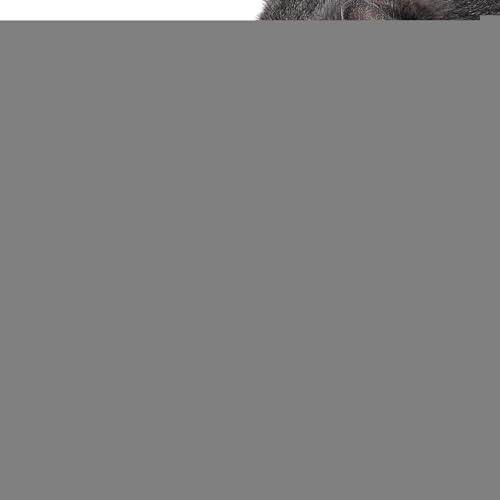 Futternapf für Hunde, Bunte Katzenfutterschalen für Haustiere, Rutschfester Futternapf und Wassernapf, Katzenfutterstation, auslaufsichere Welpen-Wassernäpfe für Wasser, Trockenfutter von zwxqe
