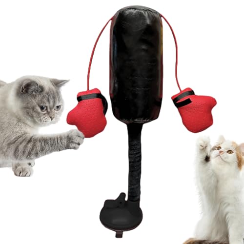 zwxqe Interaktives Katzenspielzeug, Boxsack mit Handschuhen, kreatives Kätzchen-Spielset, ansprechendes Haustier-Übungsspielzeug, lustige Swat- und Fledermausaktivität, ideal für Langeweile, 14 x 29 von zwxqe