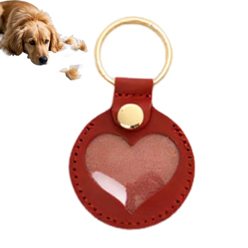 zwxqe Katzenfell Schlüsselanhänger - Tierhaar Erinnerung Schlüsselring | Herz Anhänger Erinnerungsstück Unisex für Rucksack Handtasche Taschencharm von zwxqe