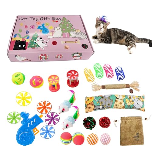 zwxqe Katzenspielzeug Set - Verschiedene Spielzeuge Für Katzen | Zur Bekämpfung Von Langeweile Interaktives Spiel Für Unterhaltung Bewegung Zahnpflege Und Jagdinstinkt zwxqe Katzenspielzeug Set - Verschiedene Spielzeuge Für Katzen | Zur Bekämpfung Von Langeweile Interaktives Spiel Für Unterhaltung Bewegung Zahnpflege Und Jagdinstinkt von zwxqe