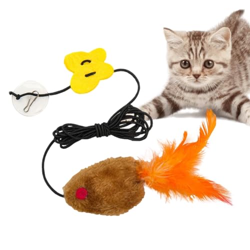 zwxqe Katzenspielzeug mit Federn, interaktives Feder-Katzenspielzeug – flexibel und elastisch, Selbstbedienungs-Katzenspielzeug, buntes Katzenspielzeug für Innen- und Außenbereich von zwxqe