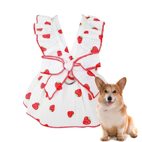 zwxqe Kleines Hundekleid – Haustierrock, Katzenkleider – Partykleid mit Erdbeermuster, niedliches Hundekleid, Katzenkleid, Welpenkleid, Frühlingssommer-Hunde-Outfits von zwxqe