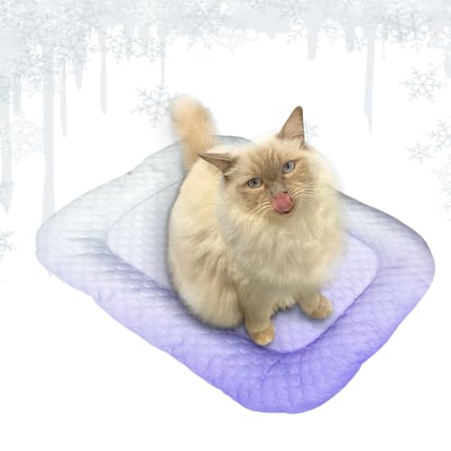 zwxqe Kühlmatte für Hunde, kühles Hundekissen, 40 x 30 x 6 cm, leichtes Katzenbett, bequemes Ausruhen für drinnen und draußen bei heißem Wetter und Sommertagen zwxqe Kühlmatte für Hunde, kühles Hundekissen, 40 x 30 x 6 cm, leichtes Katzenbett, bequemes Ausruhen für drinnen und draußen bei heißem Wetter und Sommertagen von zwxqe