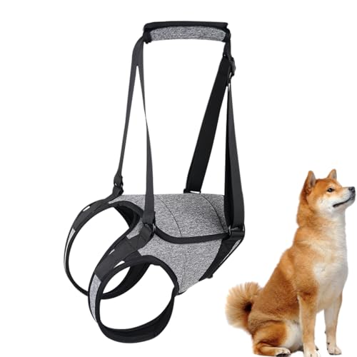 zwxqe Senior Dog Lift Harness | Stützschlinge für ältere Hunde | Hundegeschirr Hinterbeinstütze, Haustier Gehhilfen für ältere Hunde von zwxqe