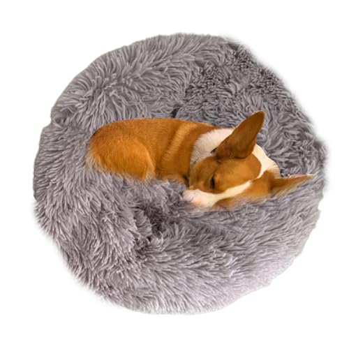 zwxqe Weiches rundes Haustierbett, Plüsch, kuschelig, beruhigendes Bett, bequemes Plüschkissenbett für kleine Hunde und Katzen, Haustierschlummer, Schlafhütte für Kätzchen und Welpen zwxqe Weiches rundes Haustierbett, Plüsch, kuschelig, beruhigendes Bett, bequemes Plüschkissenbett für kleine Hunde und Katzen, Haustierschlummer, Schlafhütte für Kätzchen und Welpen von zwxqe